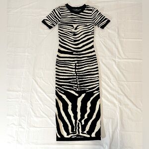 Fashion Nova Zebra-Print Knit Maxi Dress